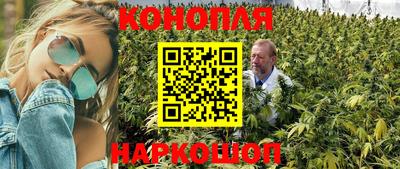 гидра Старая Купавна