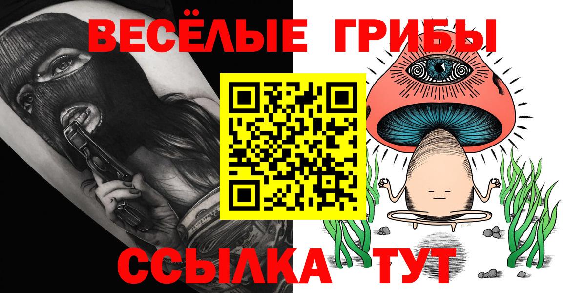Нижнекамск  Псилоцибиновые грибы ЛСД  Вход с VPN 